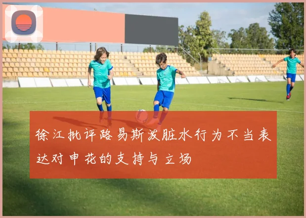 徐江批评路易斯泼脏水行为不当表达对申花的支持与立场