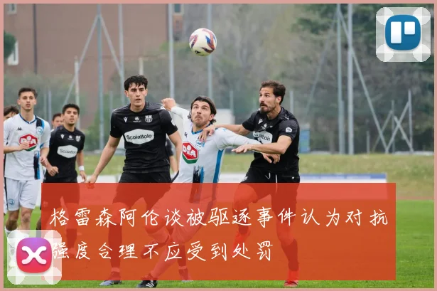 格雷森阿伦谈被驱逐事件认为对抗强度合理不应受到处罚