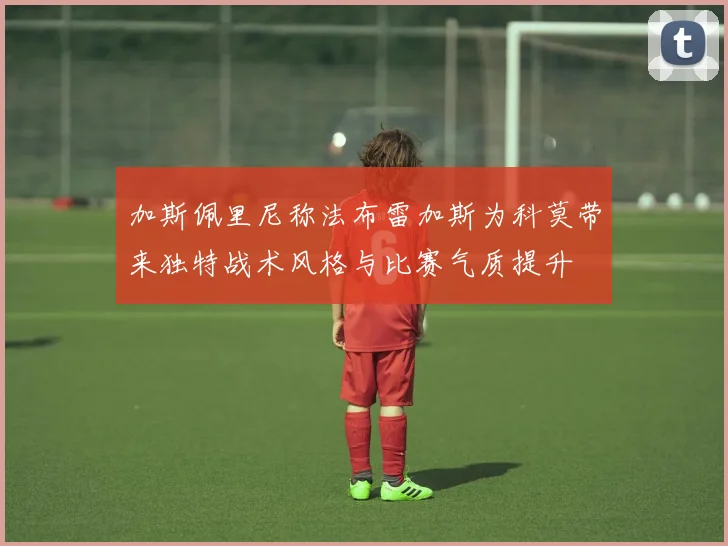 加斯佩里尼称法布雷加斯为科莫带来独特战术风格与比赛气质提升