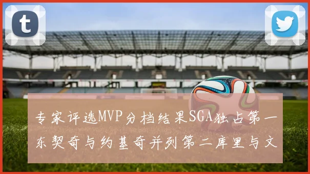专家评选MVP分档结果SGA独占第一东契奇与约基奇并列第二库里与文班位列第四