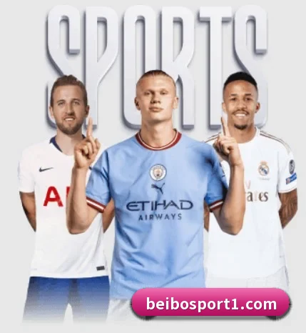 贝博足球的方向（BEIBOSPORTS）